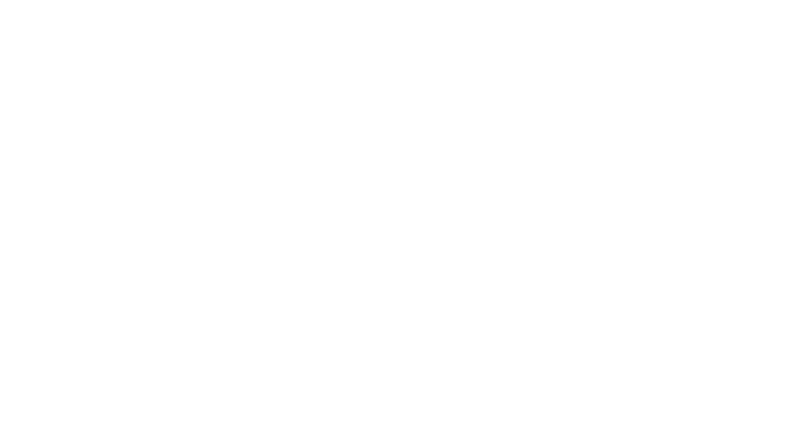 The Levee Logo
